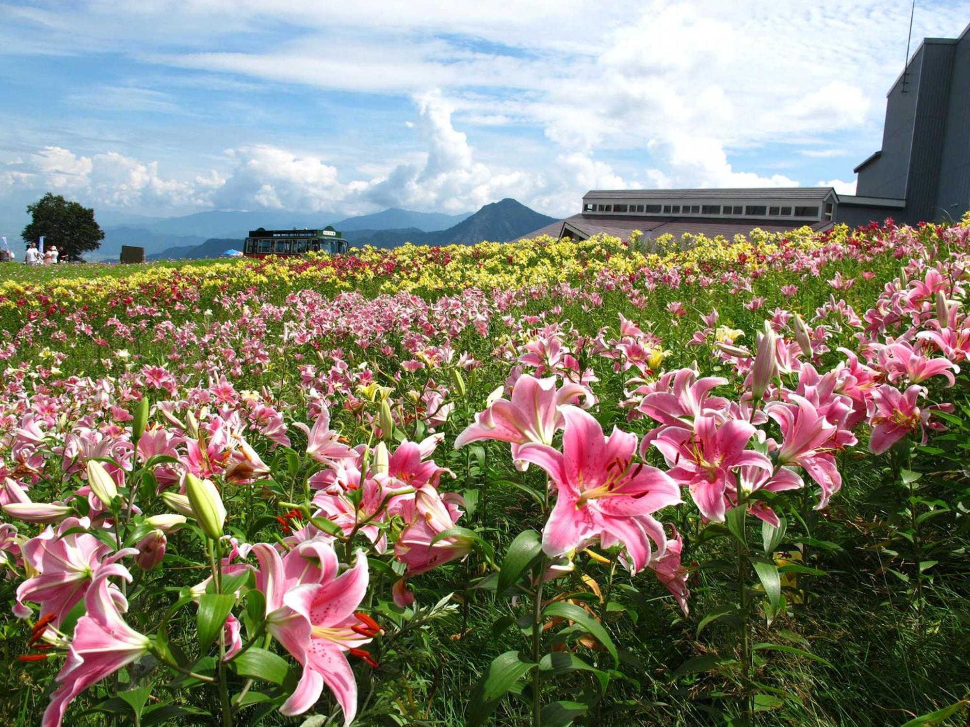 Yuzawa Toei Yuzawa (Niigata)