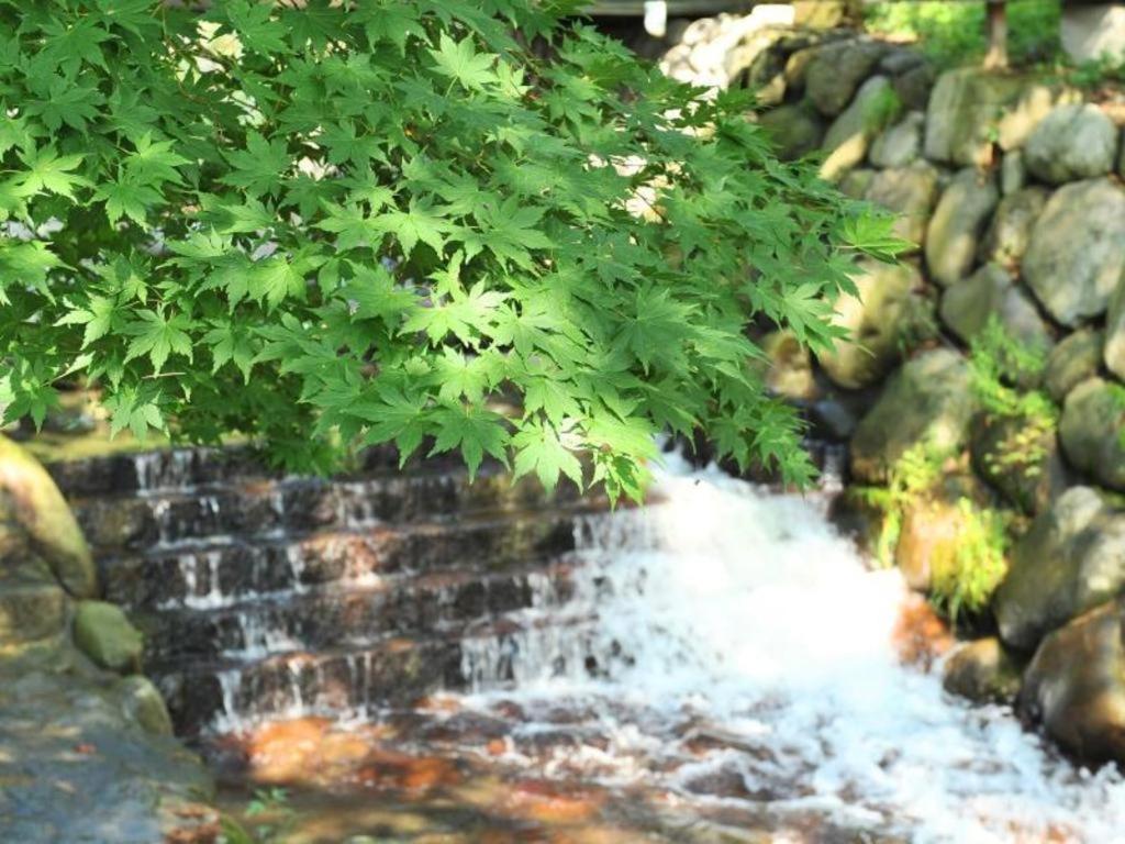 Yuzawa Toei Hotel 3*