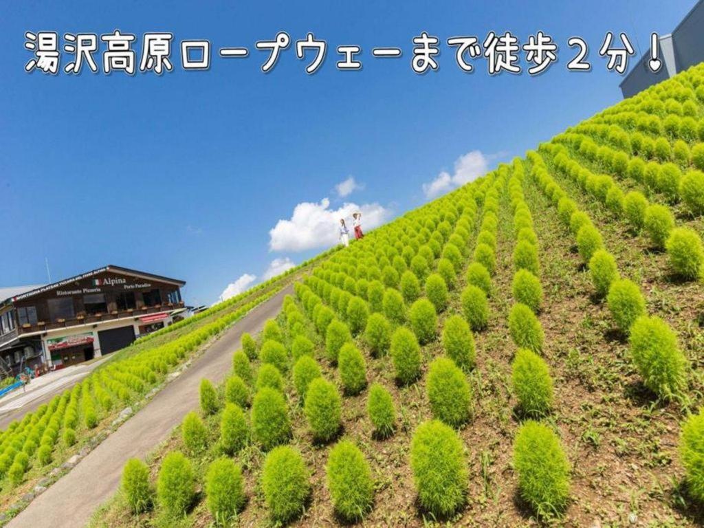 Yuzawa Toei Hotel 3*